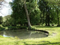 /album/hotel-du-vieux-ch%c3%a2teau/photo-hotel-129-jpg/